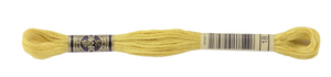 DMC 18 Yellow Plum Floss