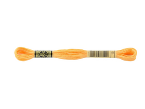 DMC Medium Light Autumn Gold 6 strand embroidery floss