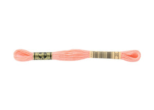 DMC 20 Shrimp 6-Strand Embroidery Floss