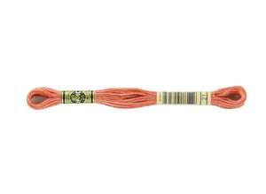 DMC 21 Light Alizarin 6-Strand Embroidery Floss