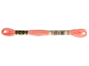 DMC 3824 Light Apricot 6-Strand Embroidery Floss