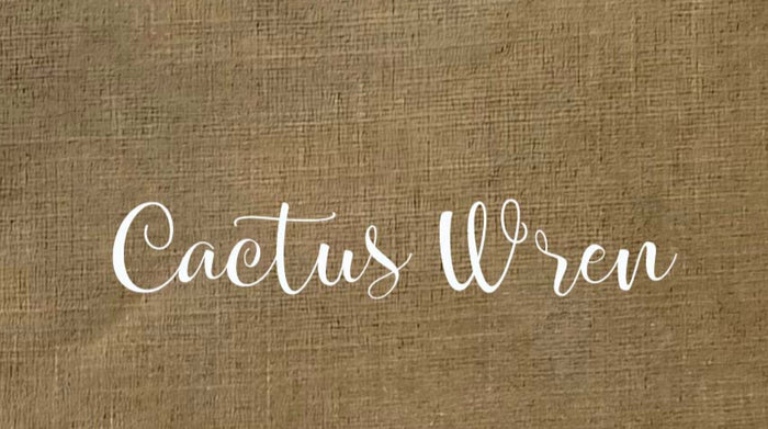Cactus Wren 16 Count Aida by Fox and Rabbit