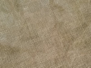 Dunes 36 Count Edinburgh Linen by Fiber on a Whim