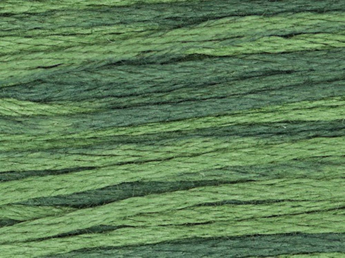 Seaweed - 2159 - by Weeks Dye Works