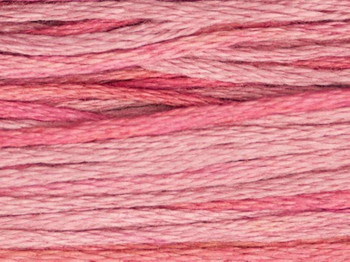 Camellia - 2276 - by Weeks Dye Works