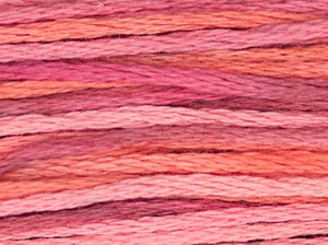 Berry Splash 4153 by Weeks Dye Works